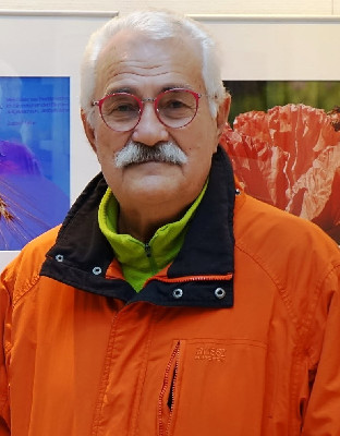 M.